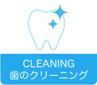 歯のクリーニング