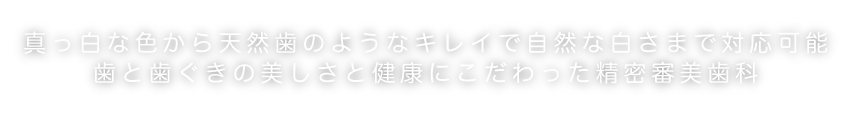 真っ白な色から天然歯のようなキレイで自然な白さまで対応可能歯と歯ぐきの美しさと健康にこだわった精密審美歯科